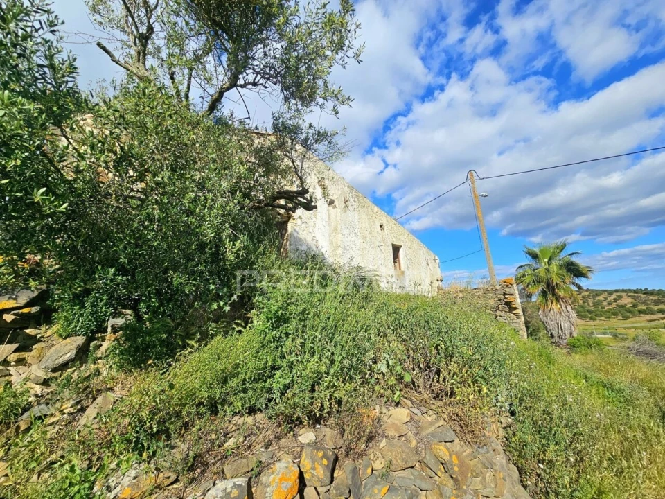 Moradia T0 para Venda em São Miguel do Pinheiro, São Pedro de Solis, São Sebastião dos Carros Foto 6