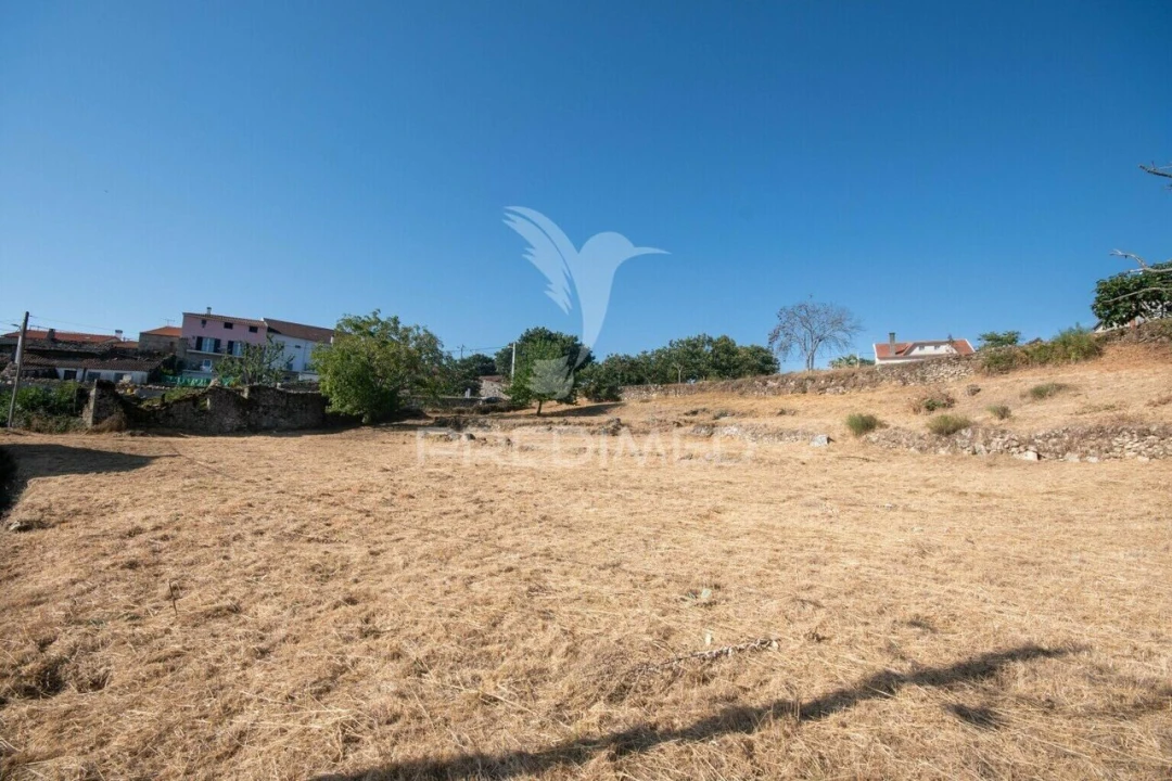 Terreno para Venda em Trancoso (São Pedro e Santa Maria) e Souto Maior Foto 2