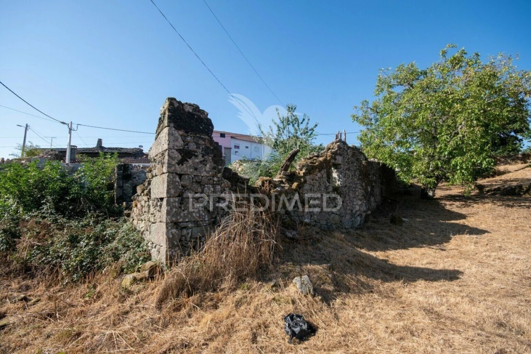 Terreno para Venda em Trancoso (São Pedro e Santa Maria) e Souto Maior Foto 5