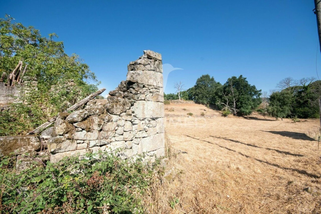 Terreno para Venda em Trancoso (São Pedro e Santa Maria) e Souto Maior Foto 6