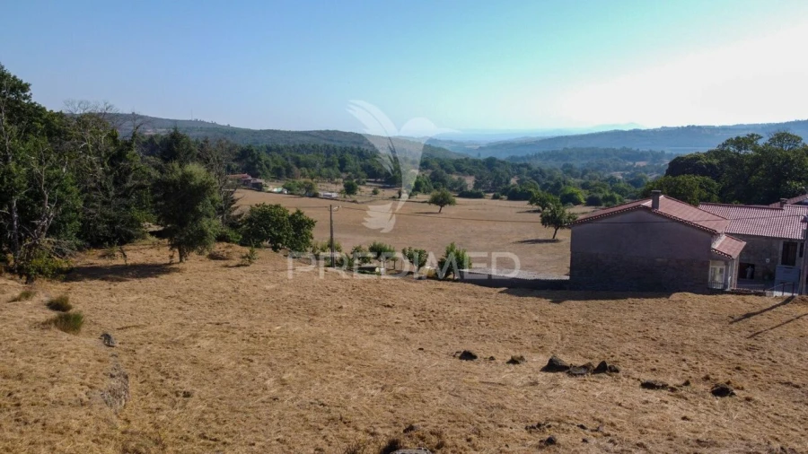 Terreno para Venda em Trancoso (São Pedro e Santa Maria) e Souto Maior Foto 12