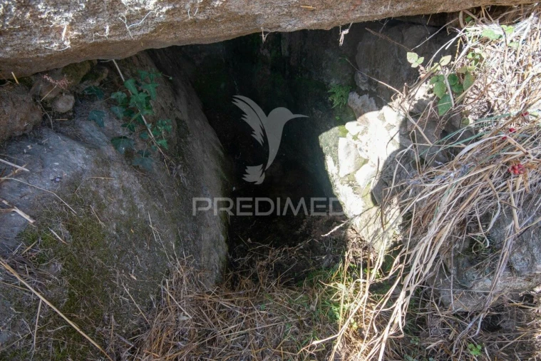 Terreno para Venda em Trancoso (São Pedro e Santa Maria) e Souto Maior Foto 3