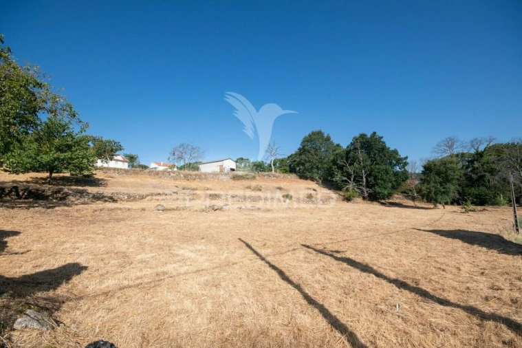 Terreno para Venda em Trancoso (São Pedro e Santa Maria) e Souto Maior Foto 7