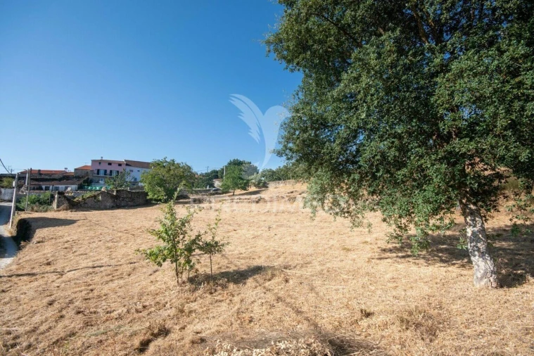 Terreno para Venda em Trancoso (São Pedro e Santa Maria) e Souto Maior Foto 4