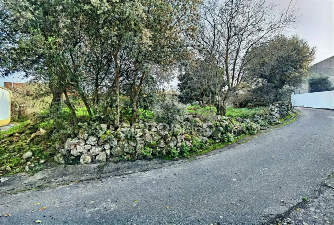 Moradia T3 para Venda em Malhou, Louriceira e Espinheiro Foto 11