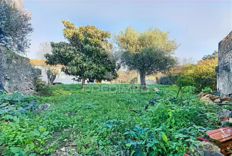 Moradia T3 para Venda em Malhou, Louriceira e Espinheiro Foto 29