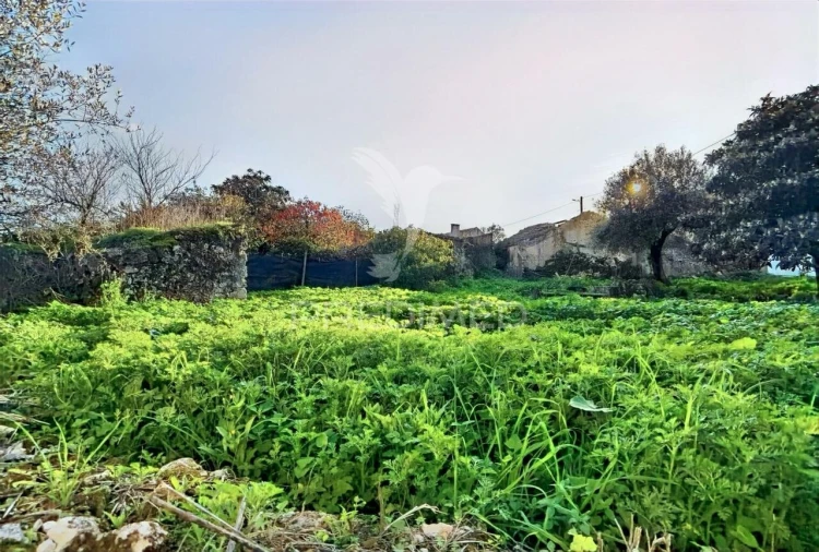 Moradia T3 para Venda em Malhou, Louriceira e Espinheiro Foto 14