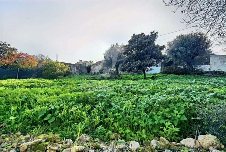 Moradia T3 para Venda em Malhou, Louriceira e Espinheiro Foto 13