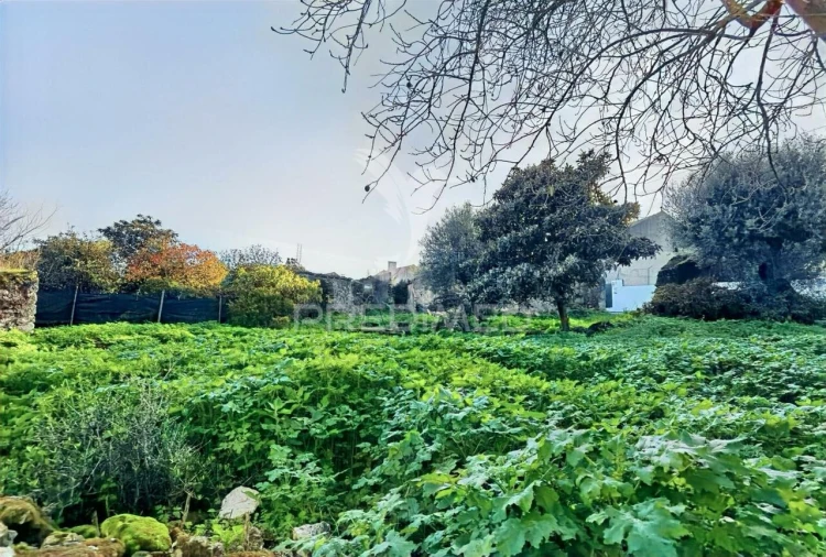 Moradia T3 para Venda em Malhou, Louriceira e Espinheiro Foto 28