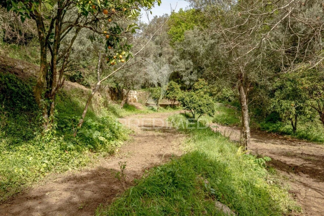 Moradia T3 para Venda em Vilela, Seramil e Paredes Secas Foto 36