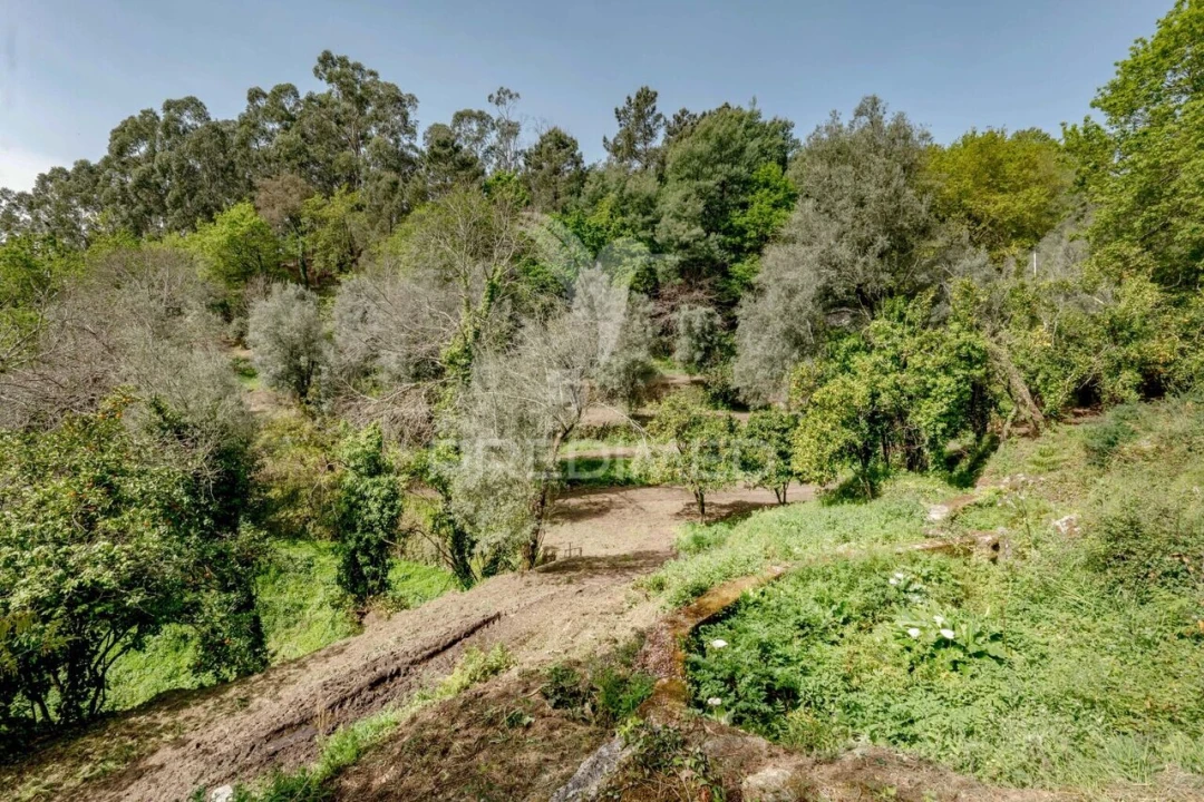 Moradia T3 para Venda em Vilela, Seramil e Paredes Secas Foto 33