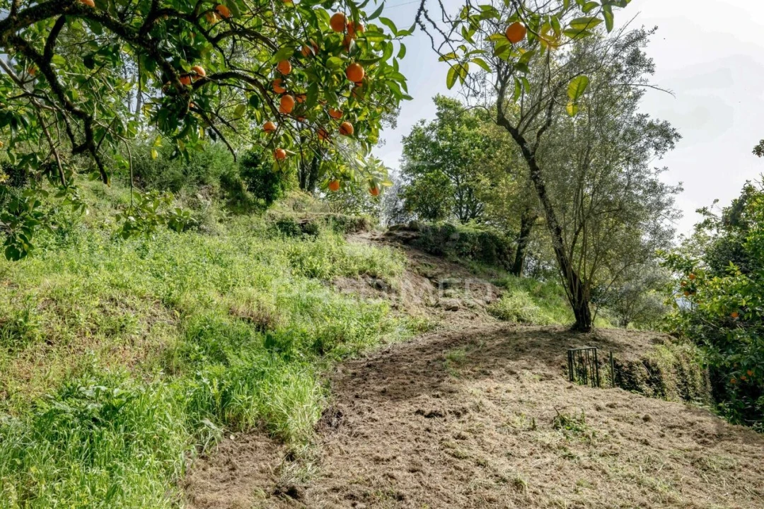 Moradia T3 para Venda em Vilela, Seramil e Paredes Secas Foto 32