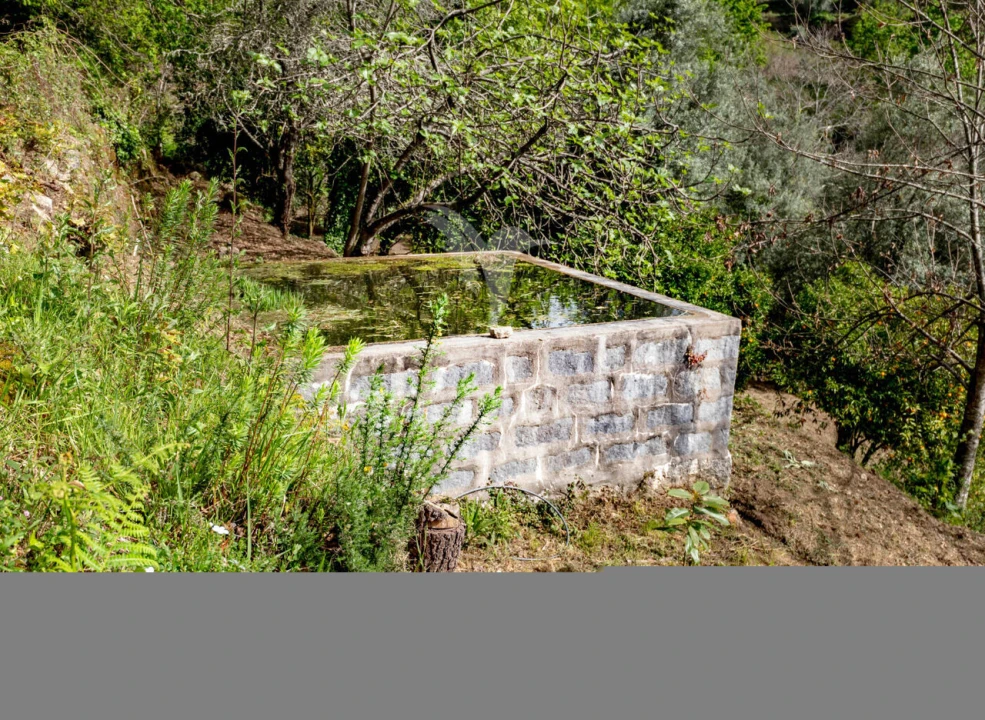 Moradia T3 para Venda em Vilela, Seramil e Paredes Secas Foto 37