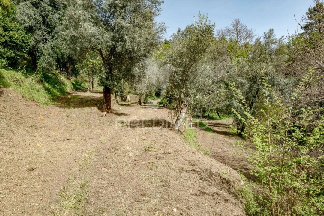 Moradia T3 para Venda em Vilela, Seramil e Paredes Secas Foto 35