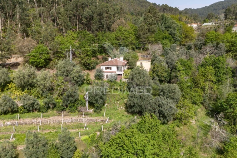 Moradia T3 para Venda em Vilela, Seramil e Paredes Secas Foto 39