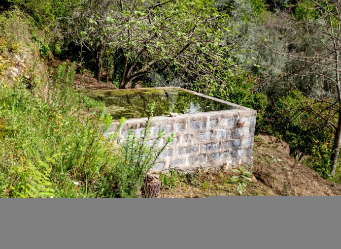 Moradia T3 para Venda em Vilela, Seramil e Paredes Secas Foto 37