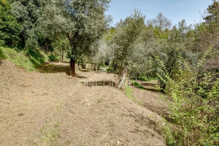 Moradia T3 para Venda em Vilela, Seramil e Paredes Secas Foto 35