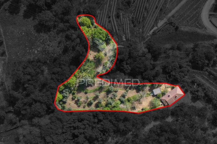 Moradia T3 para Venda em Vilela, Seramil e Paredes Secas Foto 5