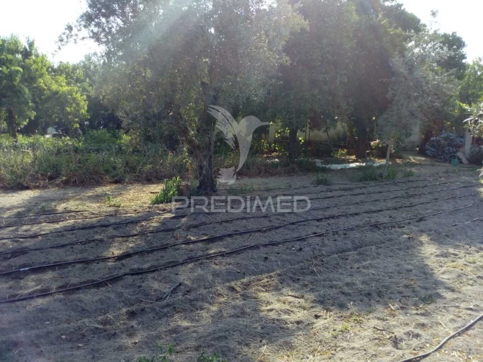 Moradia T3 para Venda em Ponte de Sor, Tramaga e Vale de Açor Foto 17