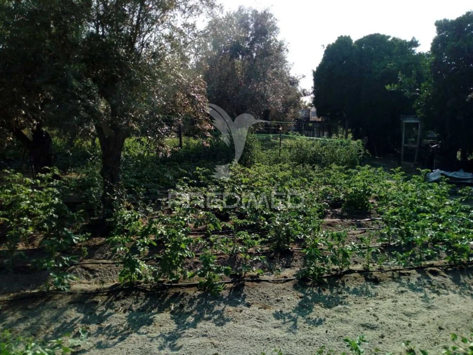 Moradia T3 para Venda em Ponte de Sor, Tramaga e Vale de Açor Foto 33