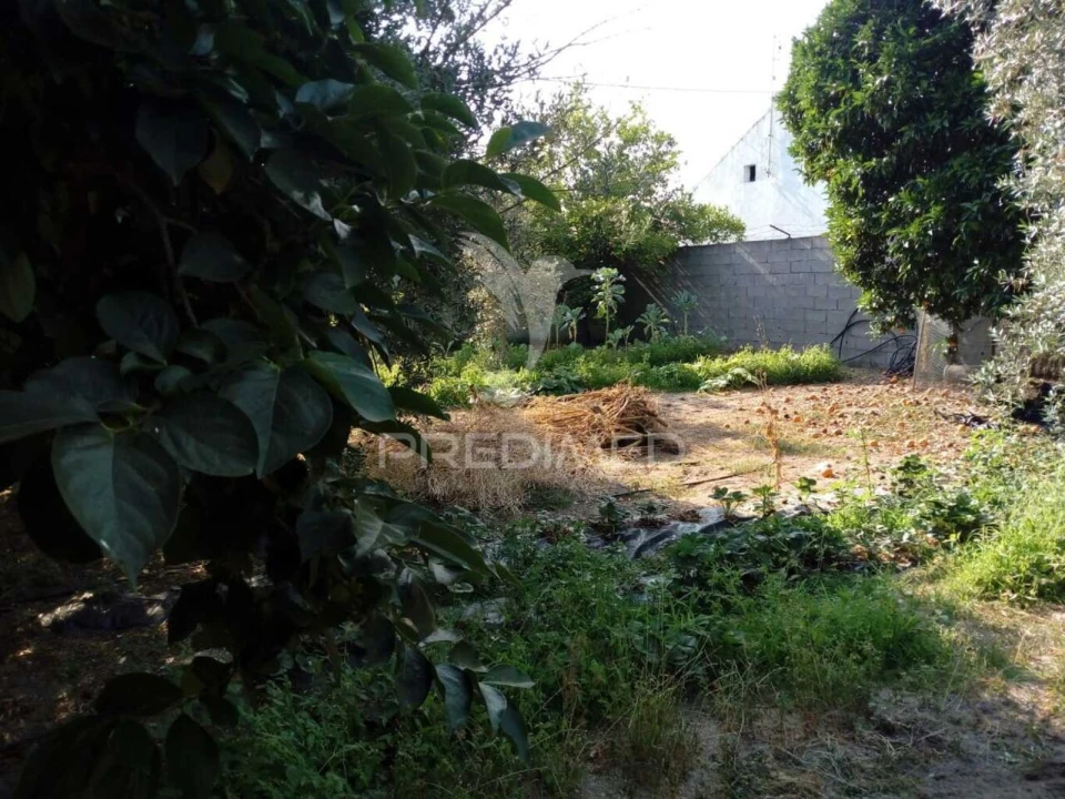 Moradia T3 para Venda em Ponte de Sor, Tramaga e Vale de Açor Foto 26