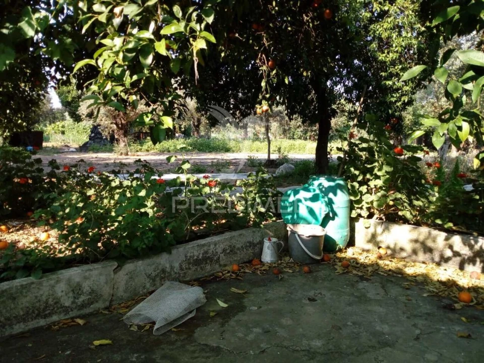 Moradia T3 para Venda em Ponte de Sor, Tramaga e Vale de Açor Foto 13