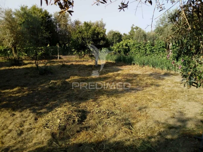 Moradia T3 para Venda em Ponte de Sor, Tramaga e Vale de Açor Foto 21