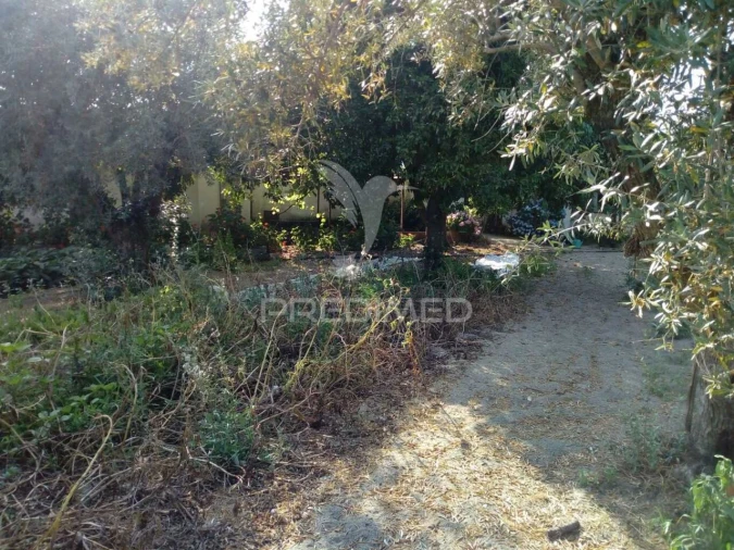 Moradia T3 para Venda em Ponte de Sor, Tramaga e Vale de Açor Foto 34