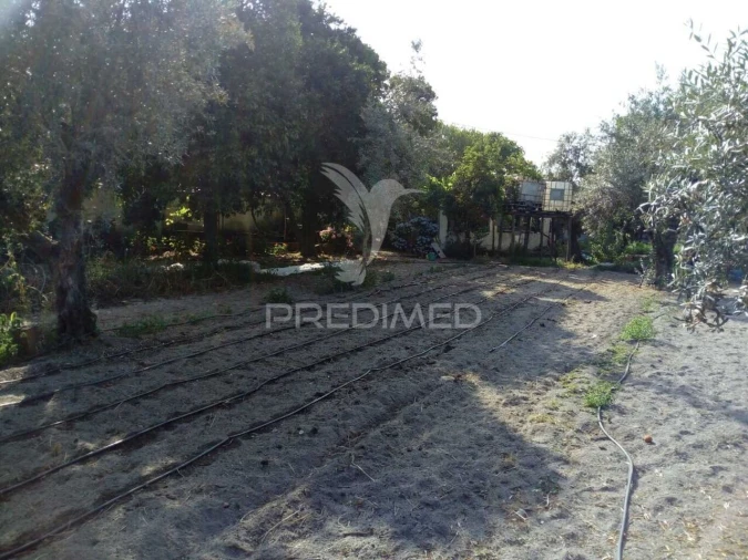 Moradia T3 para Venda em Ponte de Sor, Tramaga e Vale de Açor Foto 29