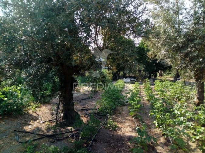 Moradia T3 para Venda em Ponte de Sor, Tramaga e Vale de Açor Foto 28