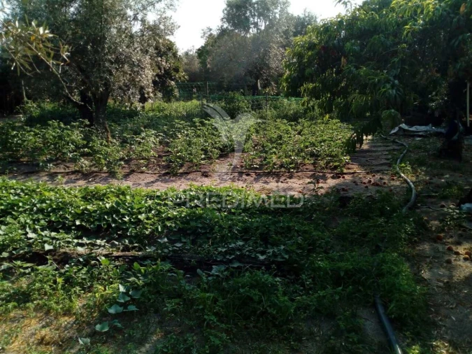 Moradia T3 para Venda em Ponte de Sor, Tramaga e Vale de Açor Foto 31