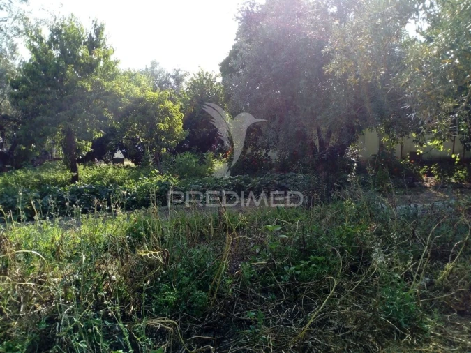 Moradia T3 para Venda em Ponte de Sor, Tramaga e Vale de Açor Foto 20