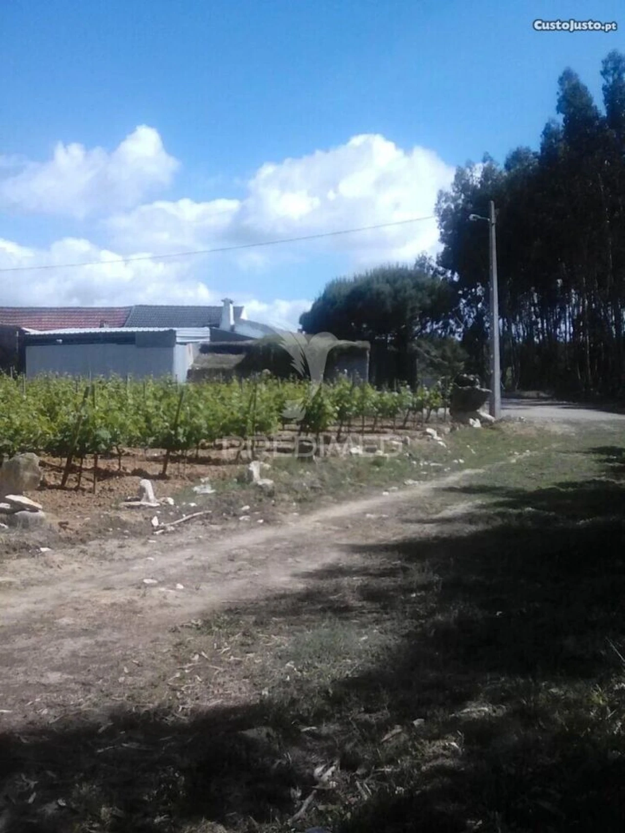 Terreno para Venda em São Bartolomeu dos Galegos e Moledo Foto 1