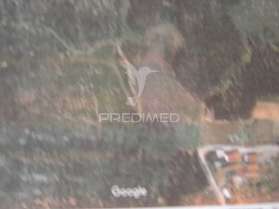 Terreno para Venda em São Bartolomeu dos Galegos e Moledo Foto 8