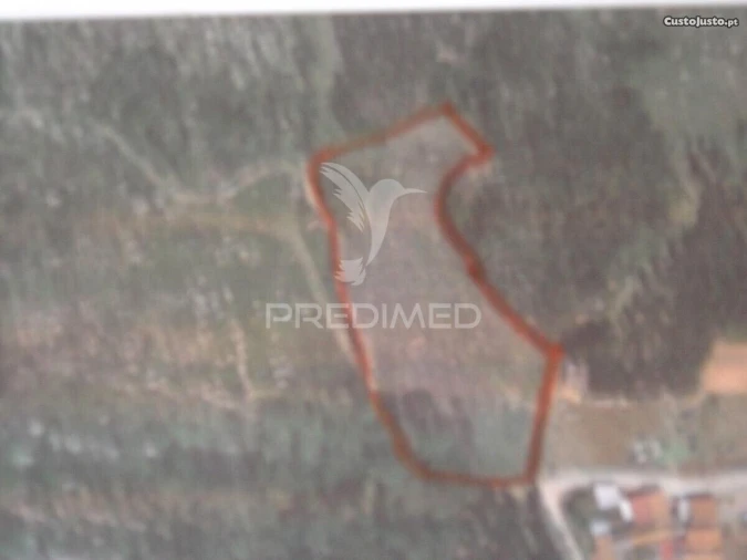 Terreno para Venda em São Bartolomeu dos Galegos e Moledo Foto 4