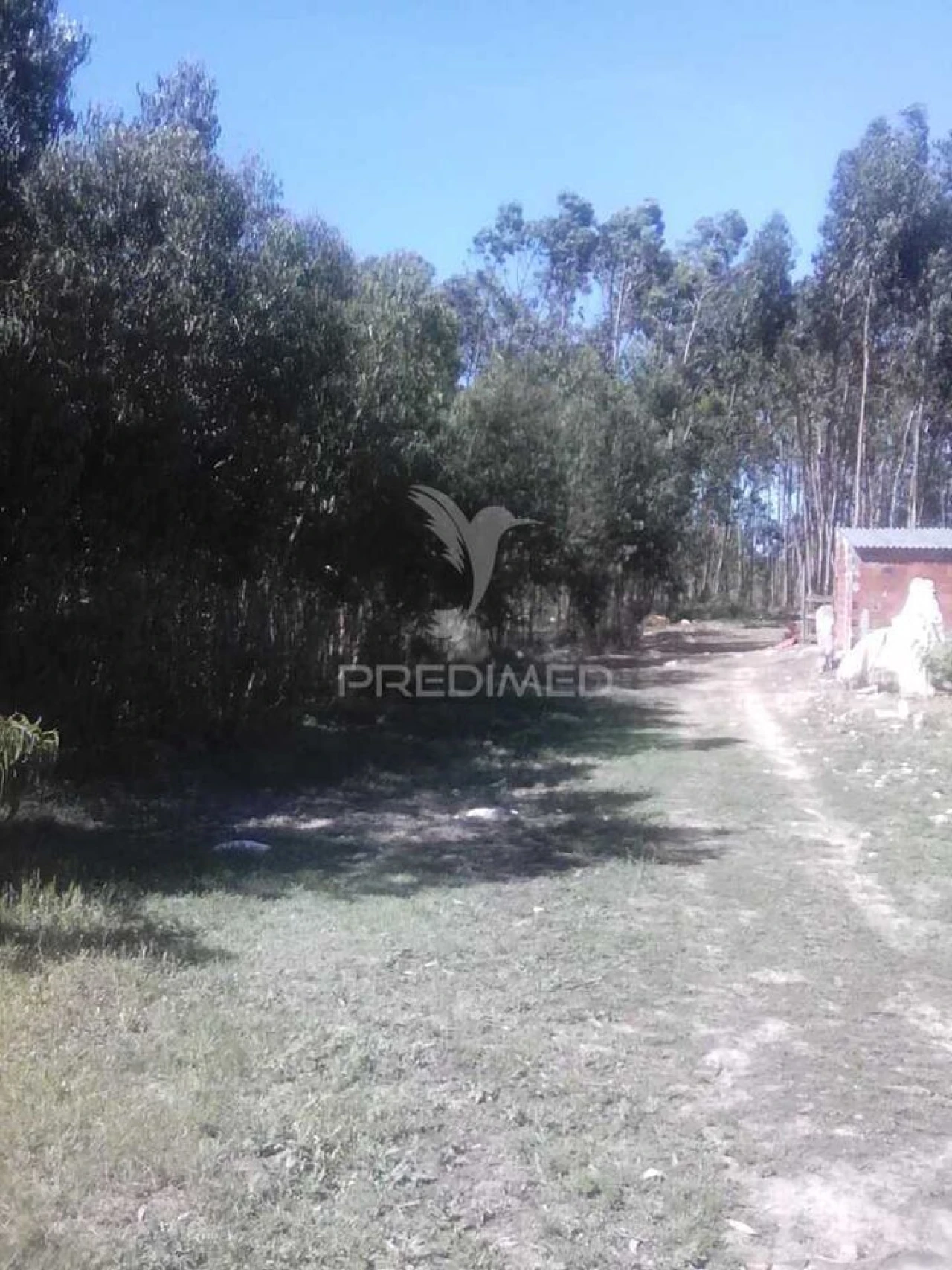 Terreno para Venda em São Bartolomeu dos Galegos e Moledo Foto 3