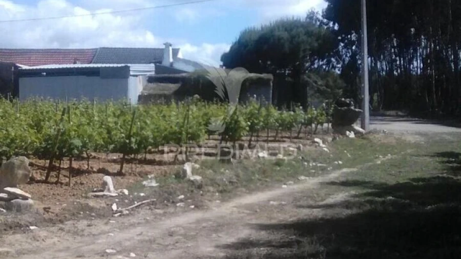 Terreno para Venda em São Bartolomeu dos Galegos e Moledo