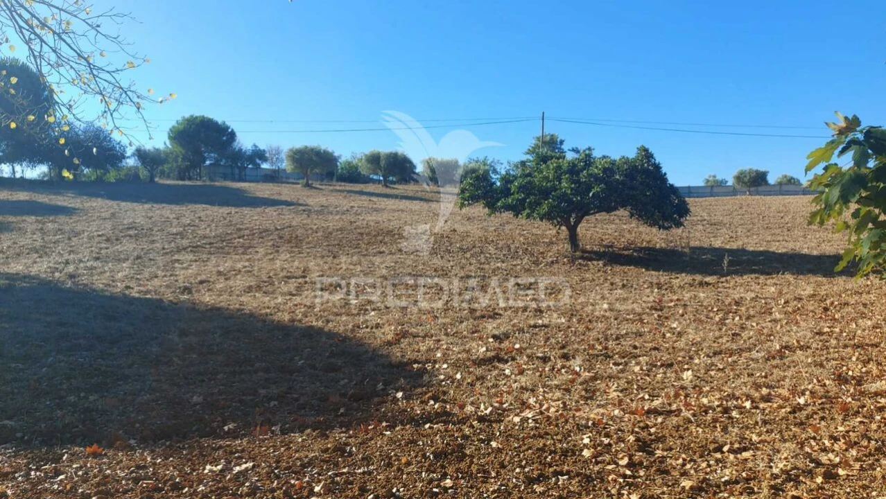 Quinta T4 para Venda em Romeira e Várzea Foto 33