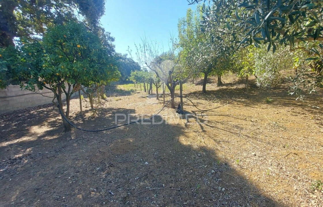 Quinta T4 para Venda em Romeira e Várzea Foto 31