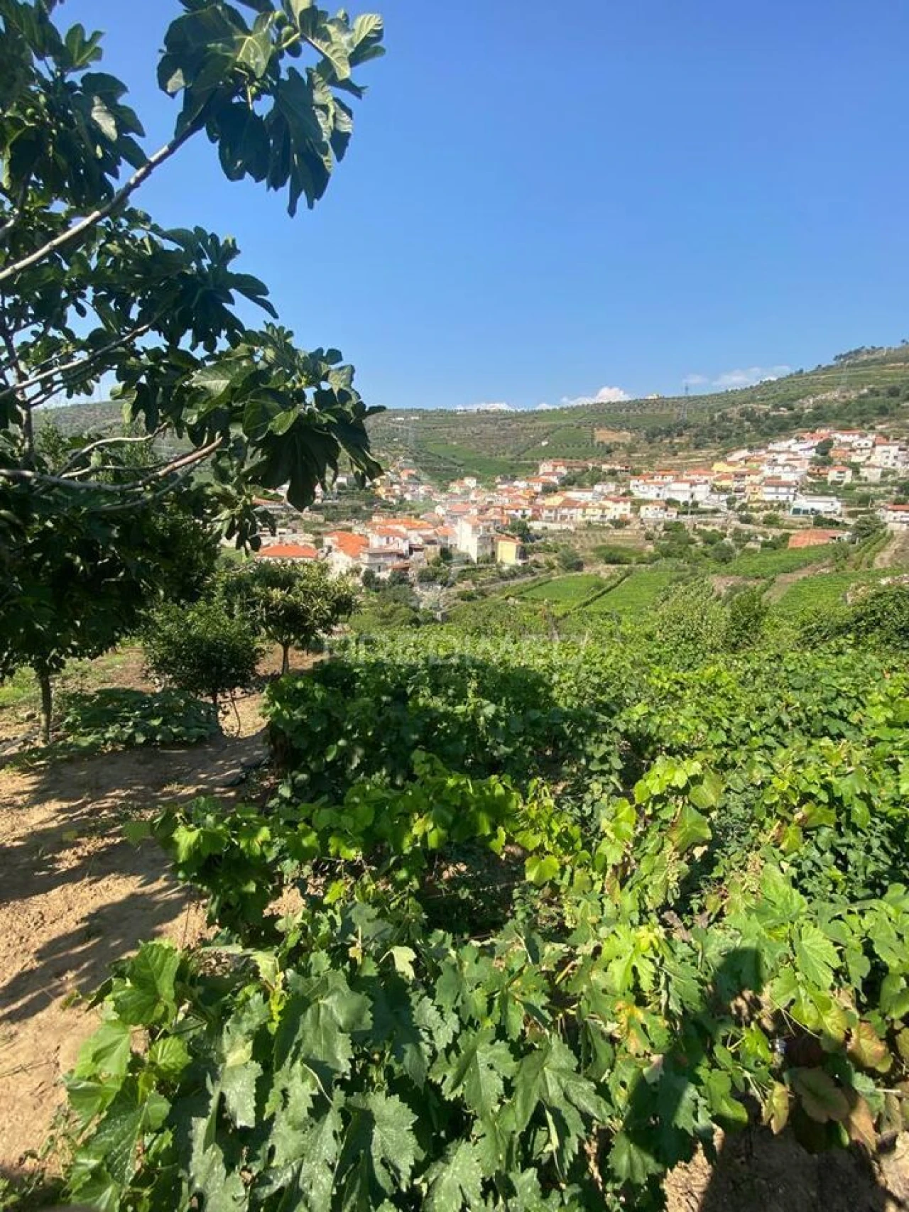 Terreno para Venda em Parada do Bispo e Valdigem Foto 15