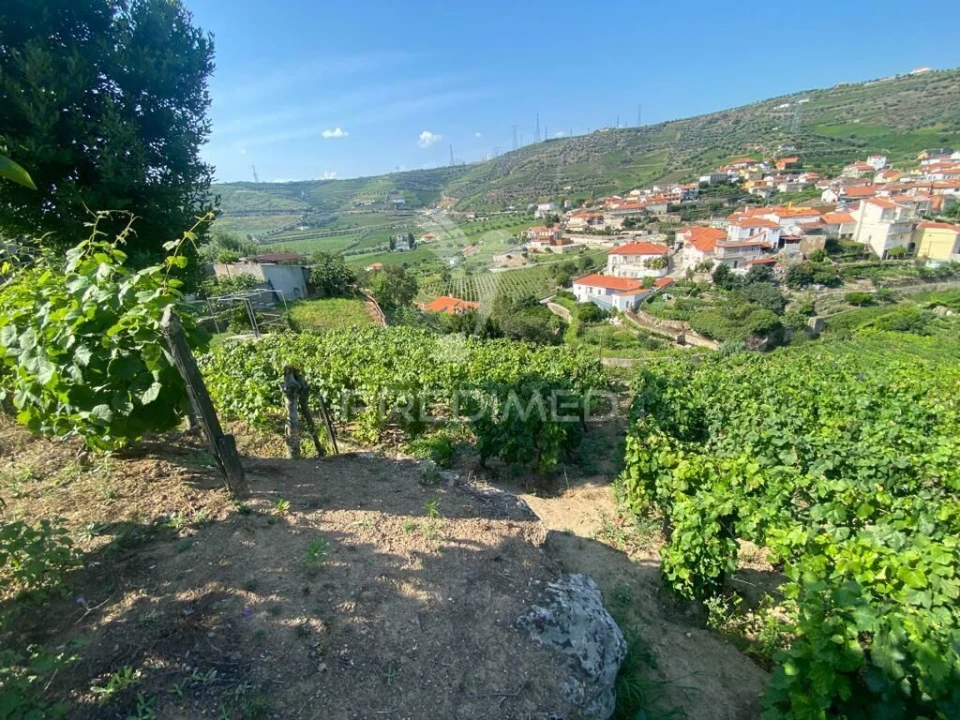 Terreno para Venda em Parada do Bispo e Valdigem Foto 21