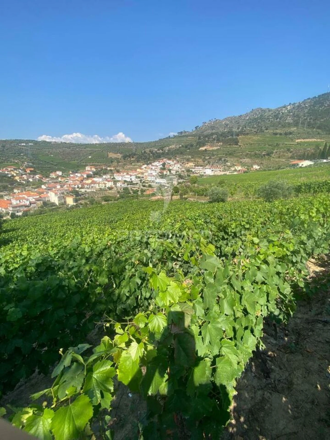 Terreno para Venda em Parada do Bispo e Valdigem Foto 25