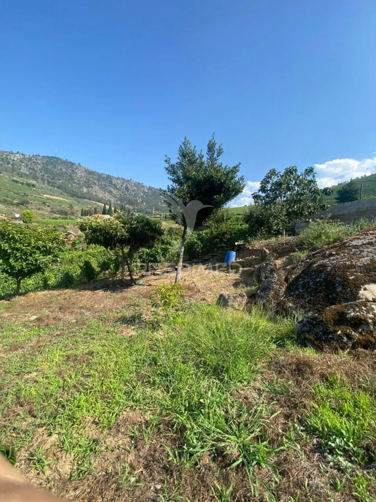 Terreno para Venda em Parada do Bispo e Valdigem Foto 17