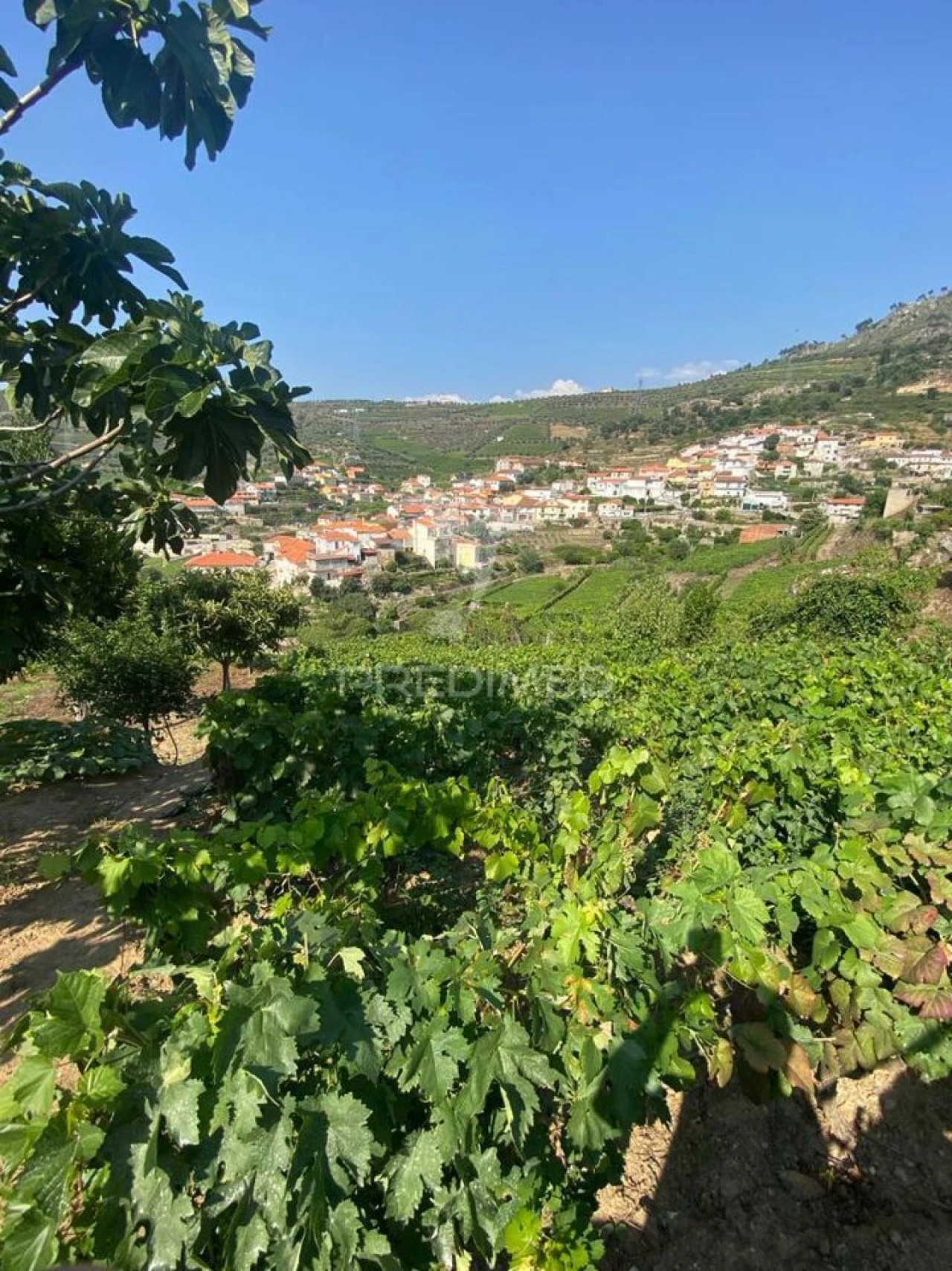 Terreno para Venda em Parada do Bispo e Valdigem Foto 16
