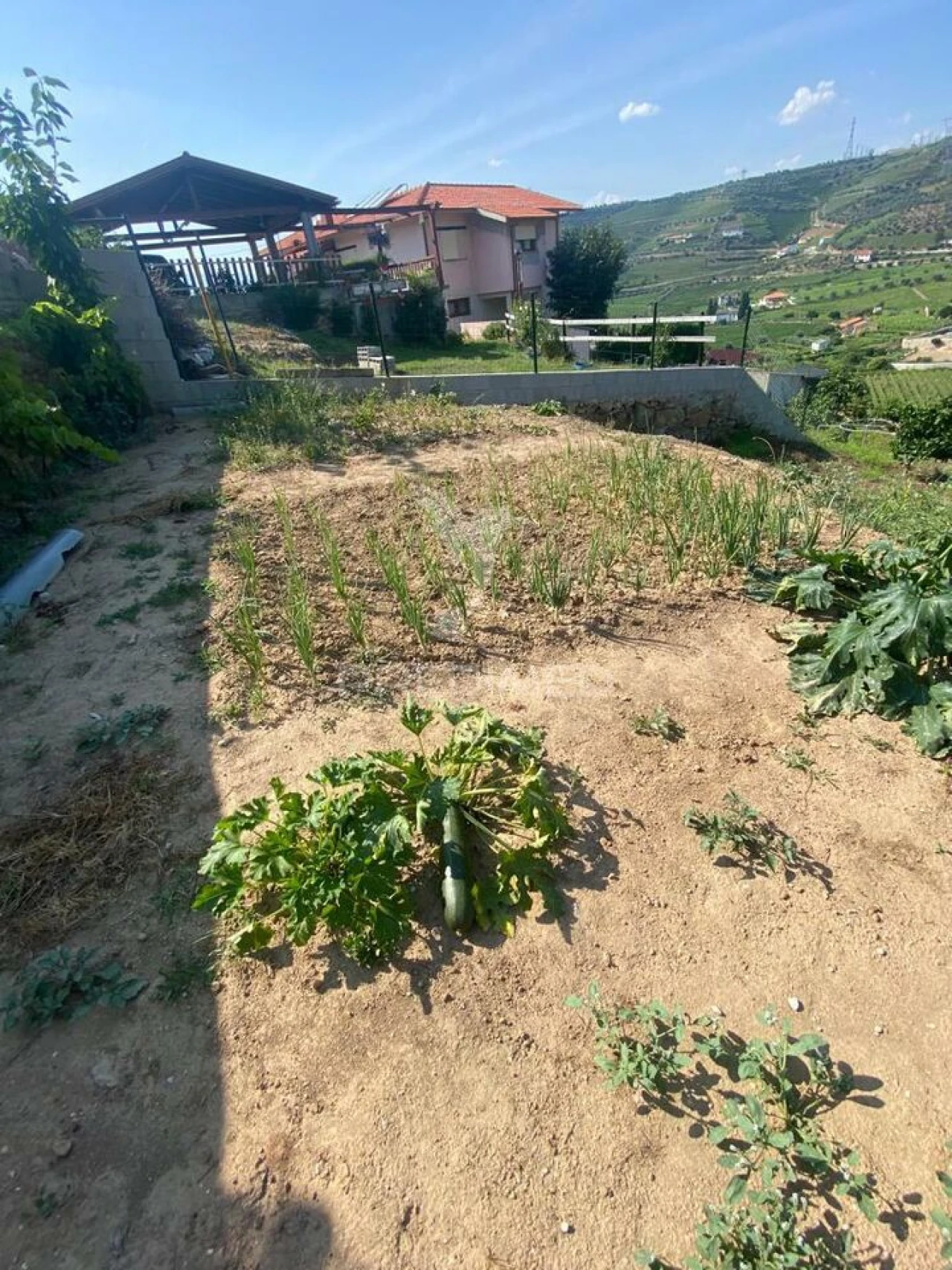 Terreno para Venda em Parada do Bispo e Valdigem Foto 14