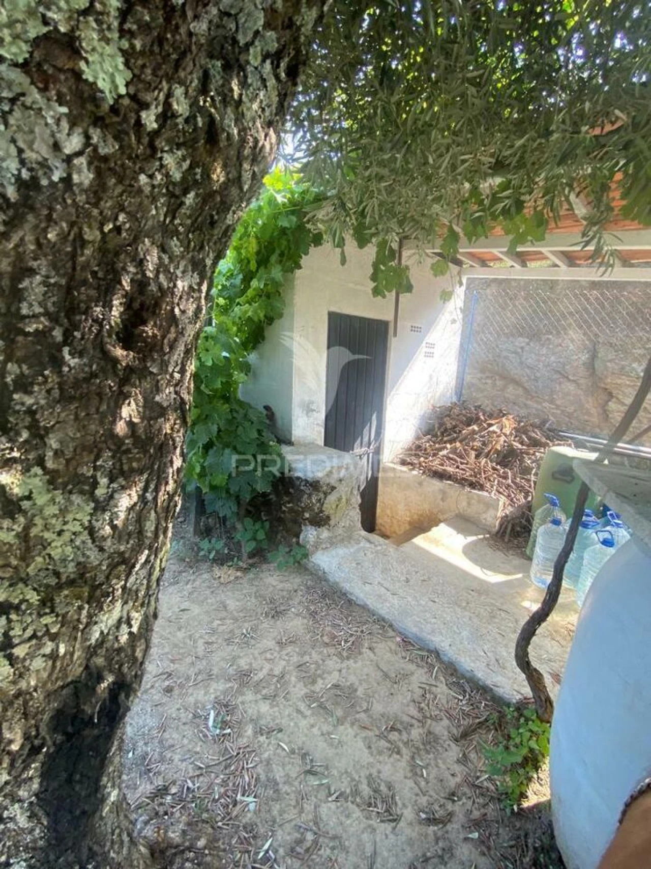 Terreno para Venda em Parada do Bispo e Valdigem Foto 2