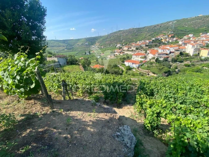 Terreno para Venda em Parada do Bispo e Valdigem Foto 21