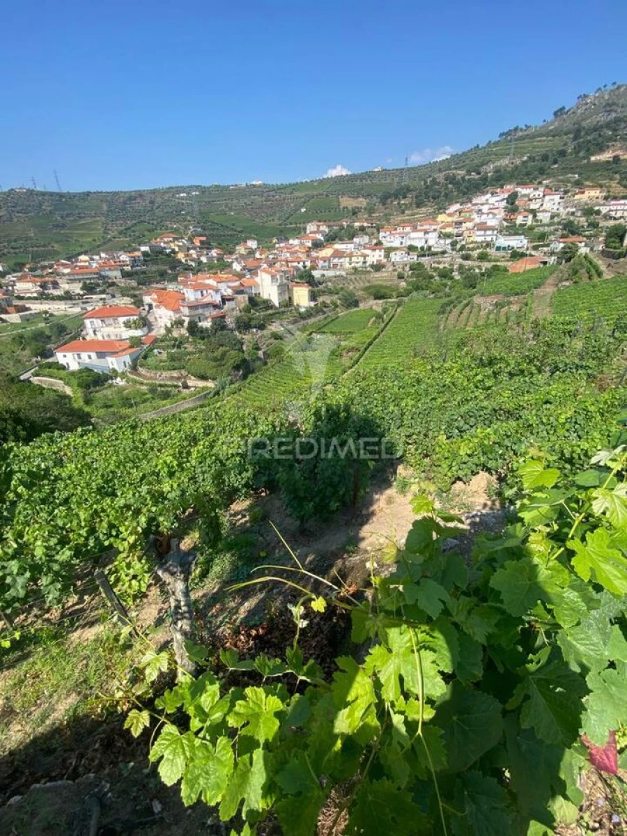 Terreno para Venda em Parada do Bispo e Valdigem Foto 18