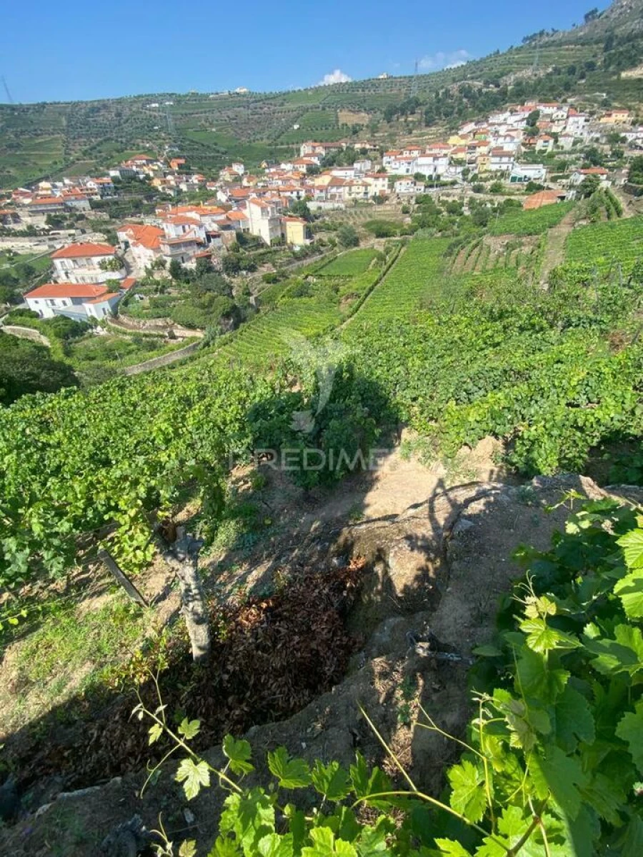 Terreno para Venda em Parada do Bispo e Valdigem Foto 24