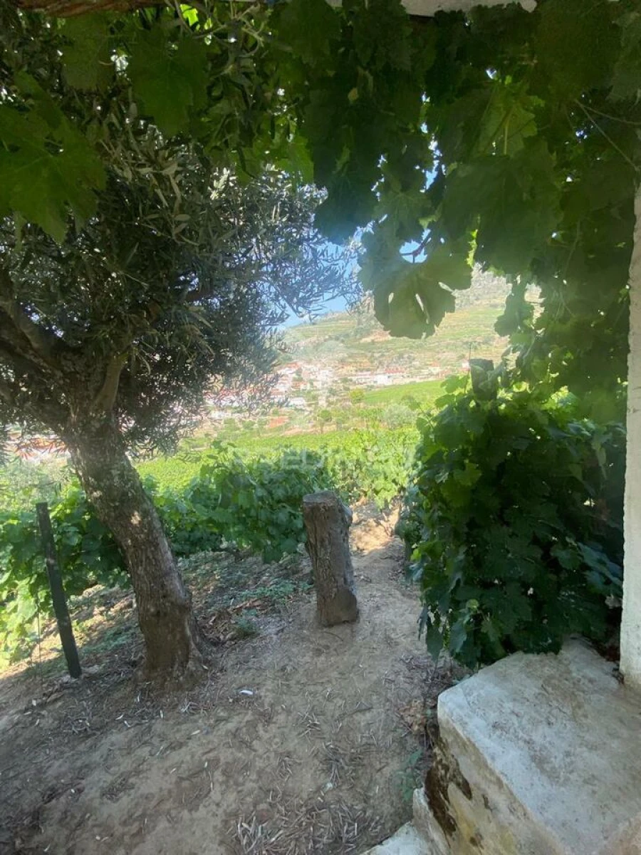 Terreno para Venda em Parada do Bispo e Valdigem Foto 7